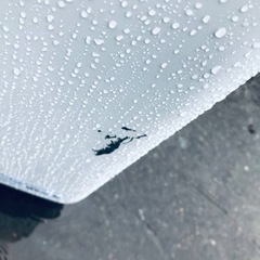 ①✨2021年製✨282番 Hisense✨電気洗濯機✨HW-DG80B‼️