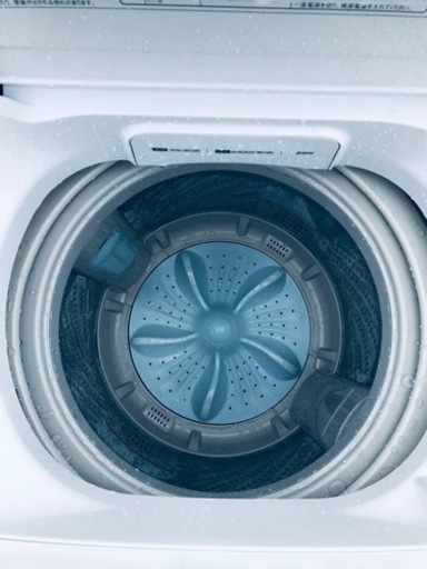 ①✨2021年製✨282番 Hisense✨電気洗濯機✨HW-DG80B‼️ - 新宿区