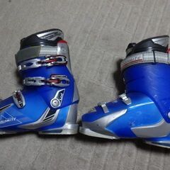 青色スキー靴サイズ：28.0～28.5㎝