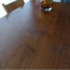 ACTUS ダイニングテーブル REN