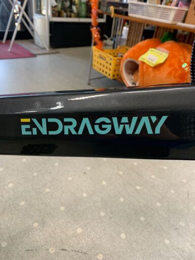 ◎電動アシスト折りたたみ自転車　ENDRAGWAY　CarbonAge　20インチ　カーボンブラック　充電用アダプタ付き◎