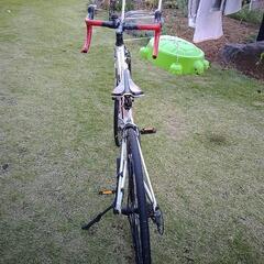 ジャイアント安く譲ります