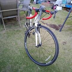 ジャイアント安く譲ります