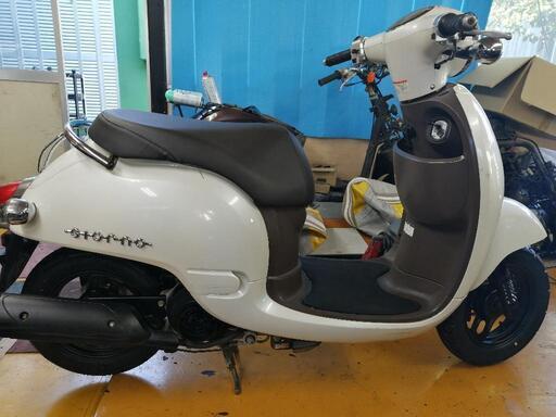 ホンダ ジョルノ❗
