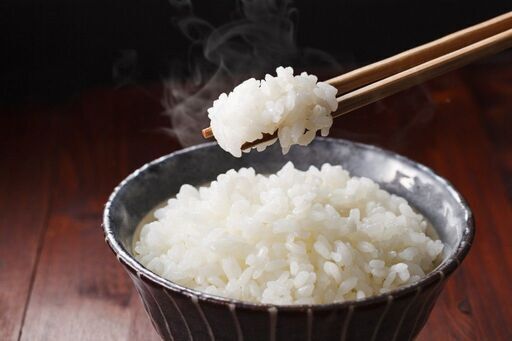 即購入OK送料込　令和5年産　100%純新米　愛媛県産　にこまる　玄米　20kg 令和6年新米】農薬軽減にこまる（20kg）玄米・無洗米：愛媛県産