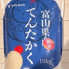 お米 10kg 新米