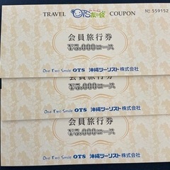 【ネット決済】沖縄ツーリスト旅行券　195000円分