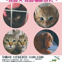 犬と猫の譲渡会　Renatusワンニャン絆プロジェクト