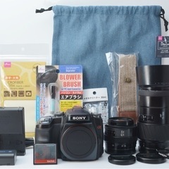 美品○初心者向け○すぐ使える○Wズームレンズ○ソニー α100 1