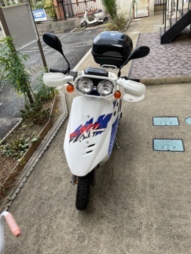 DIO BAJA(希少)購入者決定 assurwi.ma