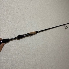 ポイズン　スピニング　軽い投げ易い