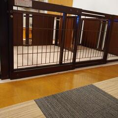 【再お値下げ】Kiinus 木製ペットサークル