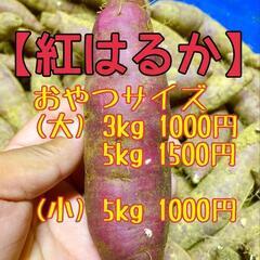 紅はるか/安納芋/シルクスイート/紅あずま→３kg５kgが1000円〜