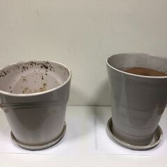 植木鉢（陶器一個、プラスチック一個）