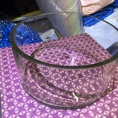 【売約済み】ガラス製容器　大型シャーレ　直径24cm メダカ鉢