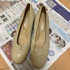 レディース パンプス 靴 シューズ サイズ22.5