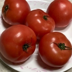自家栽培トマト