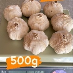 徳島県産　国産ニンニク　500g 