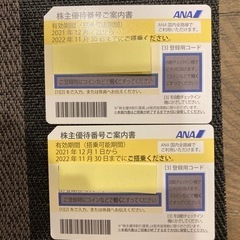 【ネット決済】ANA株主優待券2枚セット