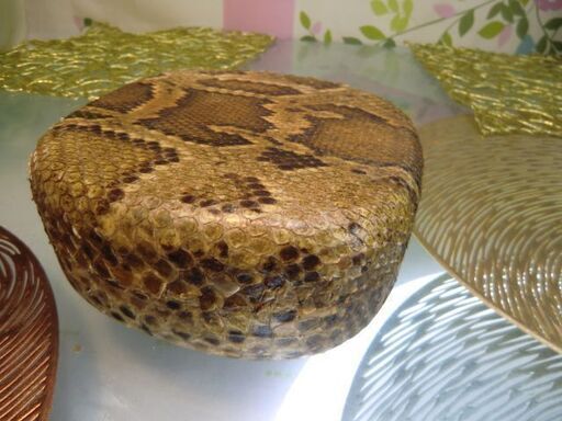 現品(送料無料)16.980円　沖縄三線専用　蛇皮強化(二重張)型チーガと水牛爪 現品販売 21.000円 沖縄三線専用キット蛇皮強化(二重張)型チーガ、棹