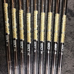 ダイナミックゴールド 120 X100