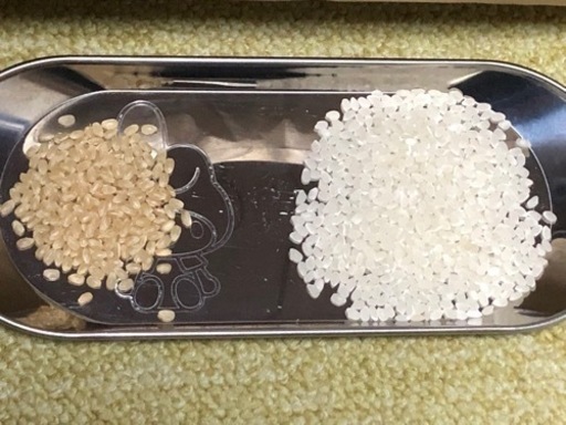 絶品・極うま　島根のお米コシヒカリ