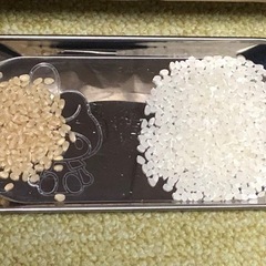 絶品・極うま　島根のお米コシヒカリ　