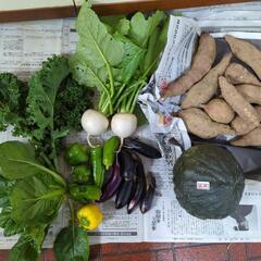 野菜とカボチャとサツマイモ