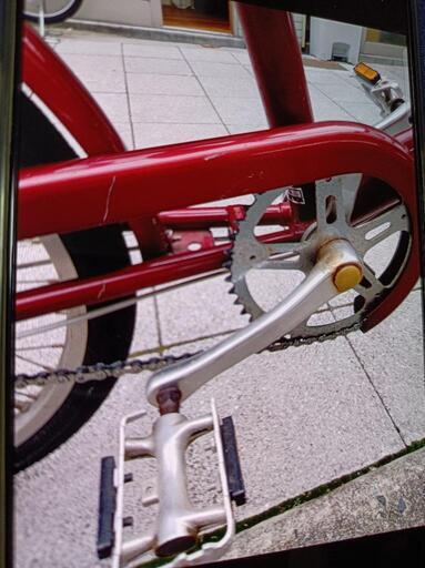 ペット乗せ自転車