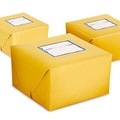 製品の箱詰め作業／HIM221018-3