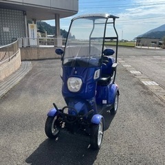 電動シニアカー　最高時速30km（要原付免許）