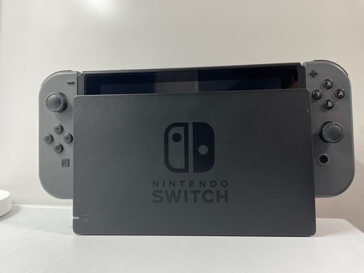 NINTENDO Switch / 任天堂 Switch　グレー