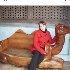 ラクダのインテリアのソファー