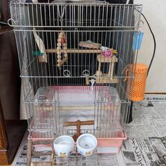 鳥かご飼育用品一式さしあげます