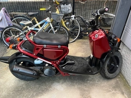 ズーマーオレンジ 実働 ズーマー50 AF58 (実働/乗り帰りも可) ズーマー