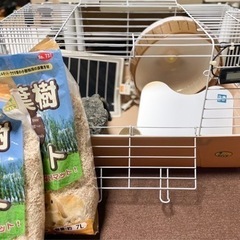 ハリネズミ　飼育セット　引き取り限定