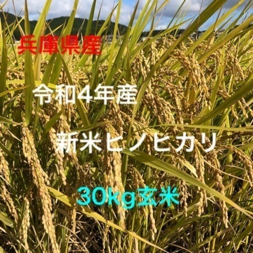 ☆最終価格☆【令和4年 新米】ヒノヒカリ（玄米）30kg 減農薬 www