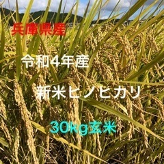 ★最終価格★【令和4年　新米】ヒノヒカリ（玄米）30kg 減農薬