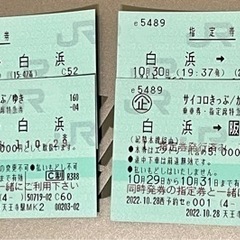 さいころ切符　29日大阪→白浜　30日白浜→大阪　1名分
