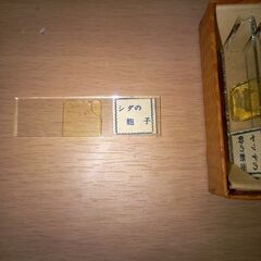 顕微鏡　レトロ