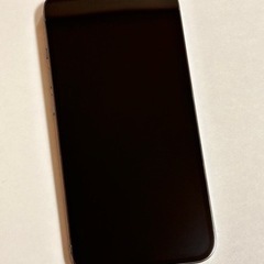 Apple iPhone 13 Pro 256GB シエラブルー SIMフリー