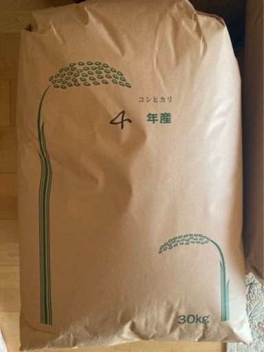 令和4年コシヒカリ 一等米 玄米30kg 生産者直売 つくば