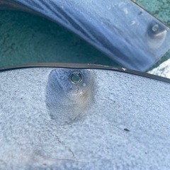 15インチホイール4本セット　オーバーフェンダー付