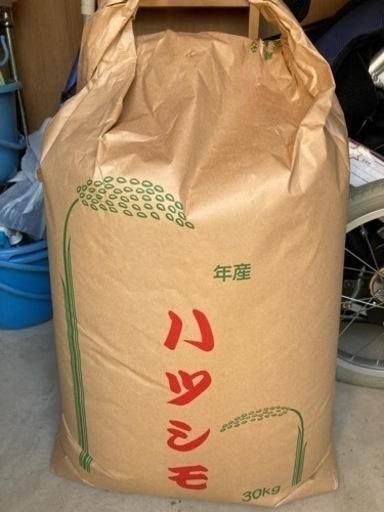 岐阜ブランド米 令和4年度『岐阜ハツシモ』 岐阜市岩崎 新米 岐阜ブランド米 令和4年度『岐阜ハツシモ』 岐阜市岩崎 新米