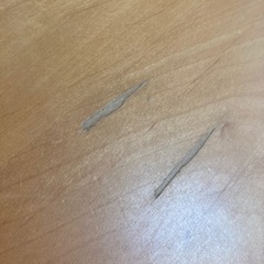 天然木こたつダイニングテーブル（掛け布団あり）