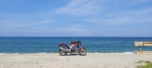 その他 VTR250(FI)