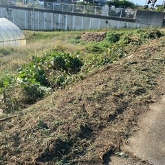 草抜き、草刈りやります。