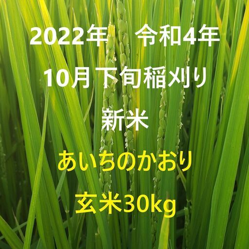 2022年（令和4年）産新米 あいちのかおり 愛知県産玄米30キログラム
