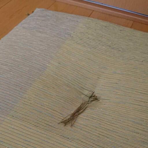 高級】座布団☆5枚セット☆西川☆大阪市内（直接引き渡し）