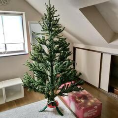 大きなクリスマスツリー差し上げます